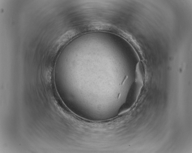 X0000089700010200706211330