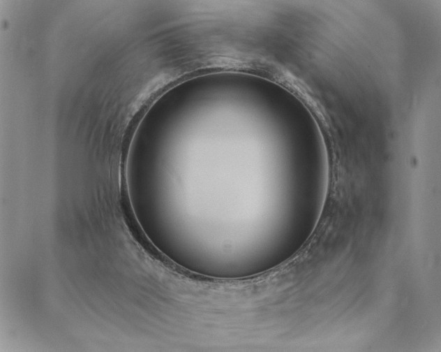 X0000089700011200706211330