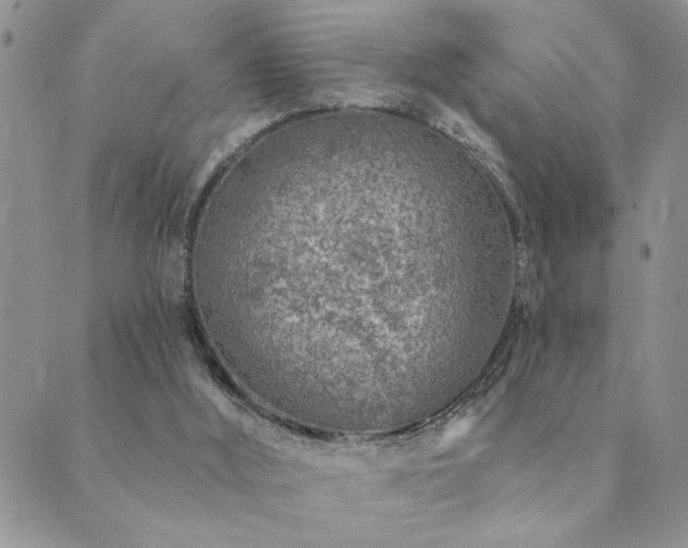 X0000089700012200706211330