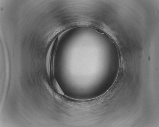 X0000089700013200706211329