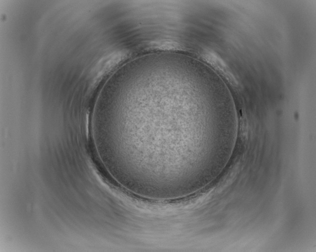 X0000089700014200706211329