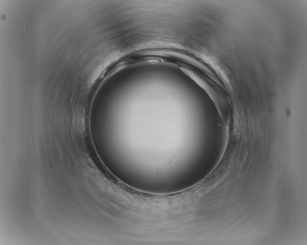 X0000089700015200706211329