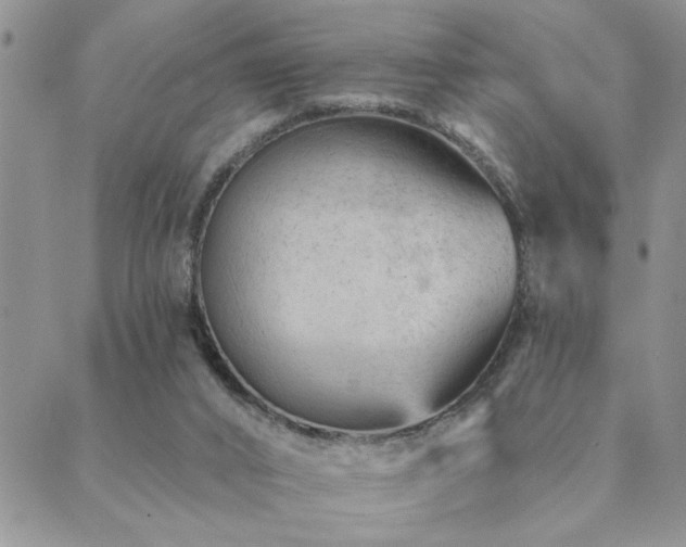 X0000089700016200706211329