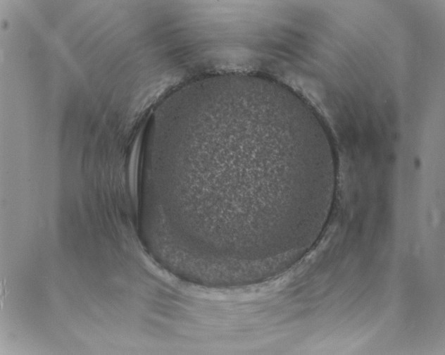 X0000089700017200706211329