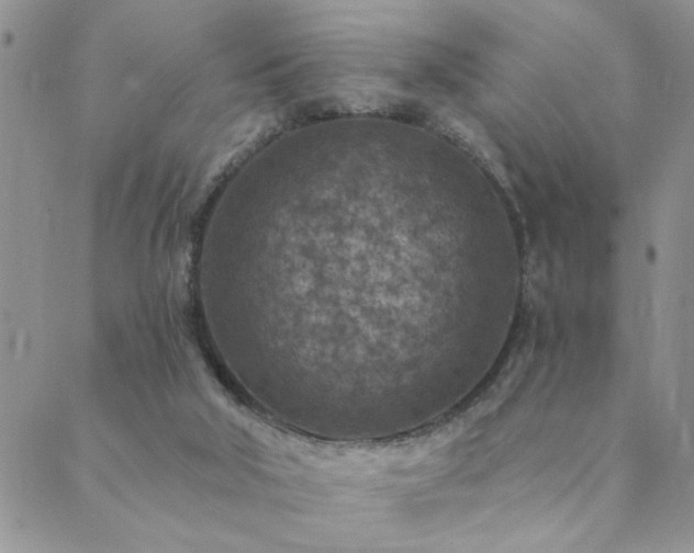 X0000089700018200706211329