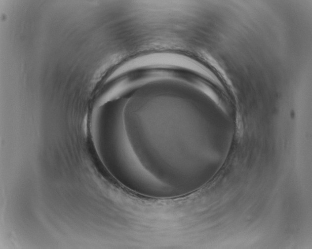 X0000089700019200706211329