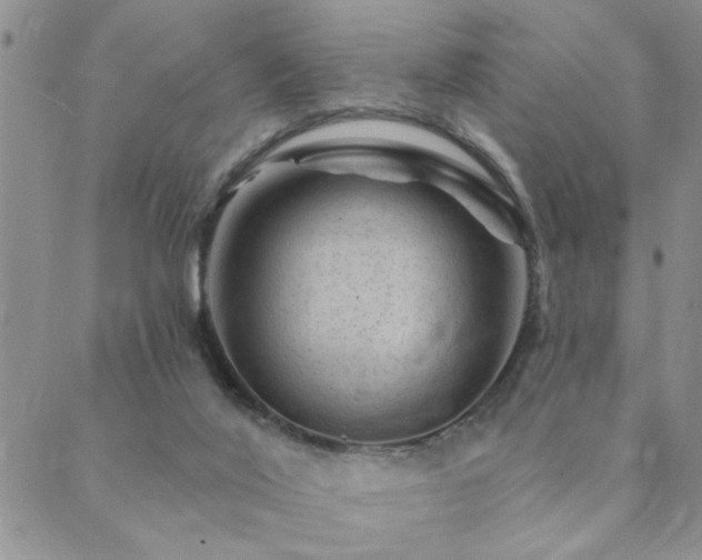 X0000089700020200706211329