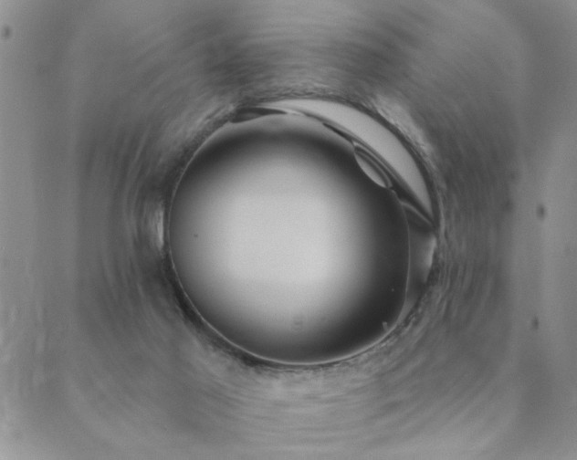 X0000089700021200706211329