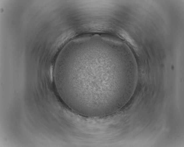 X0000089700022200706211329