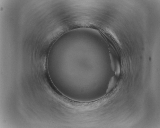 X0000089700023200706211329