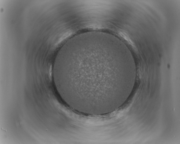 X0000089700024200706211329