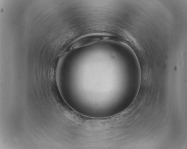 X0000089700025200706211329