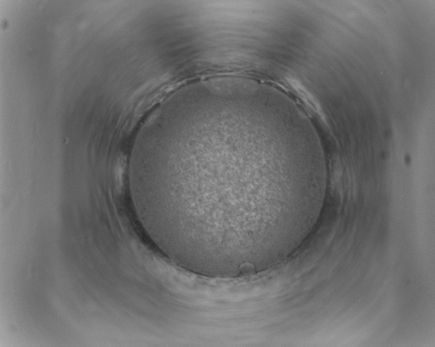 X0000089700026200706211329