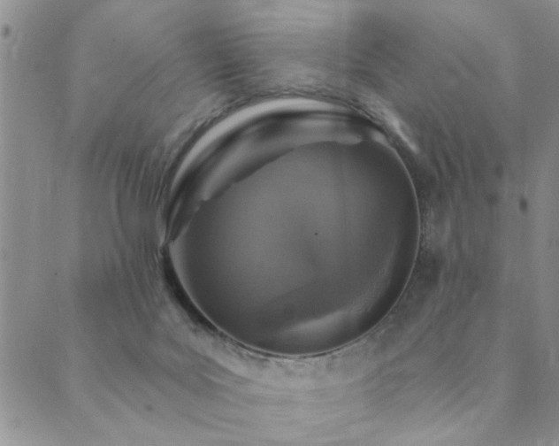 X0000089700027200706211329