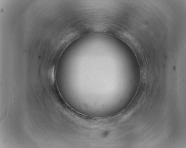 X0000089700028200706211329