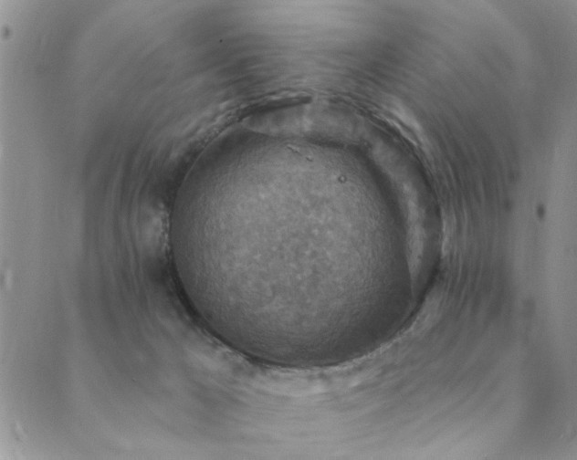 X0000089700029200706211329