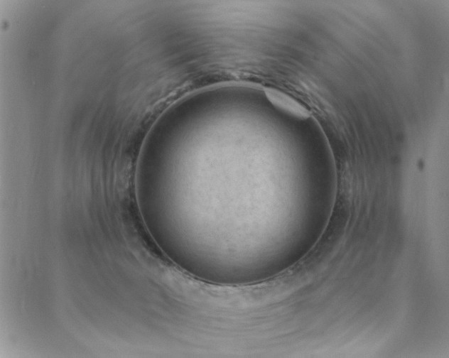 X0000089700030200706211329