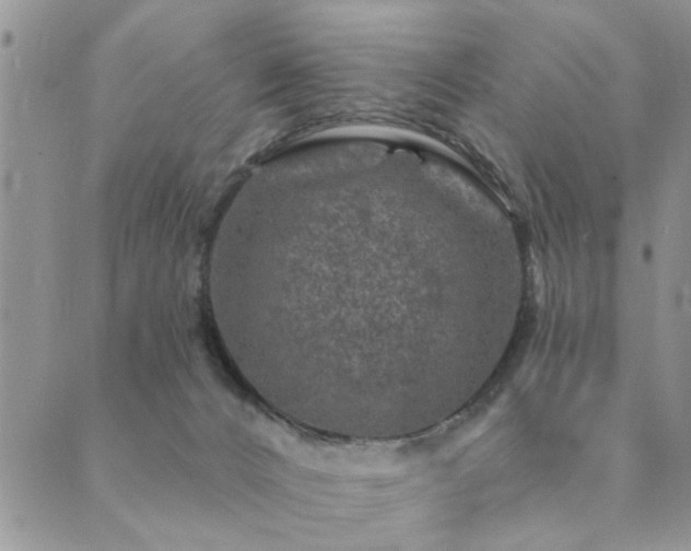 X0000089700032200706211329