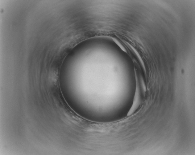 X0000089700033200706211329