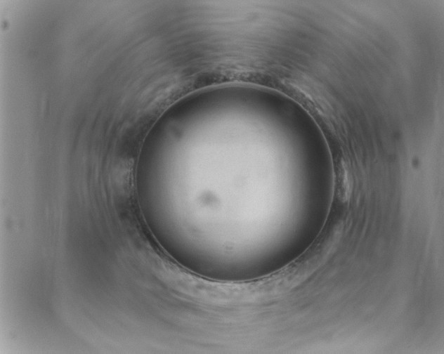 X0000089700034200706211329