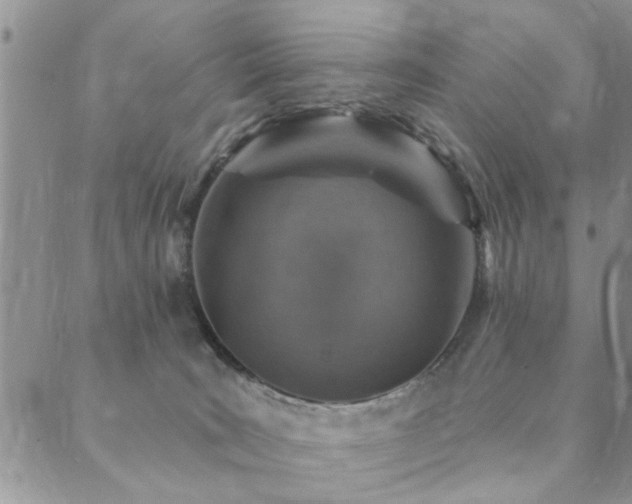 X0000089700035200706211329