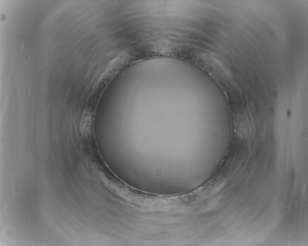 X0000089700036200706211329