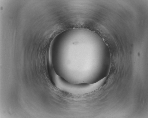 X0000089700037200706211329