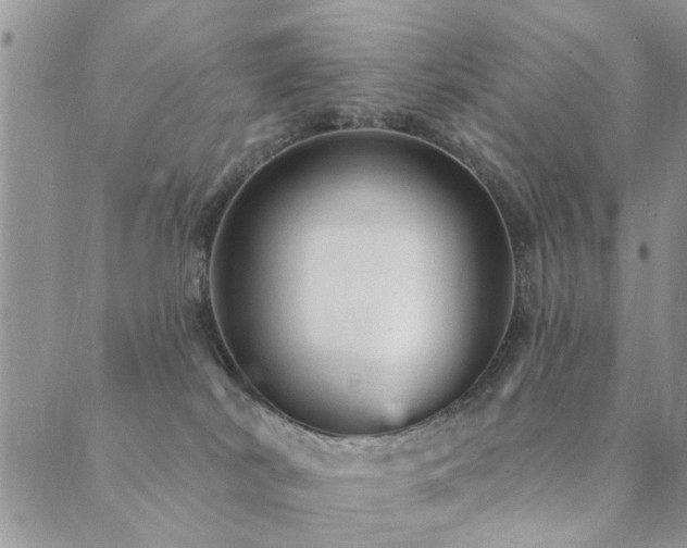 X0000089700038200706211329