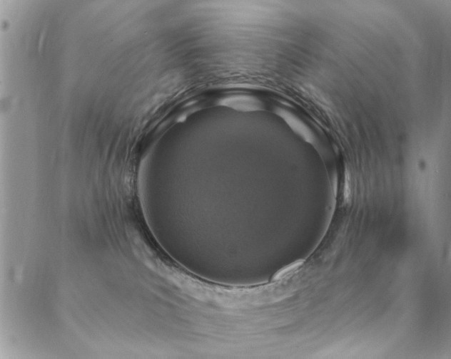 X0000089700039200706211329