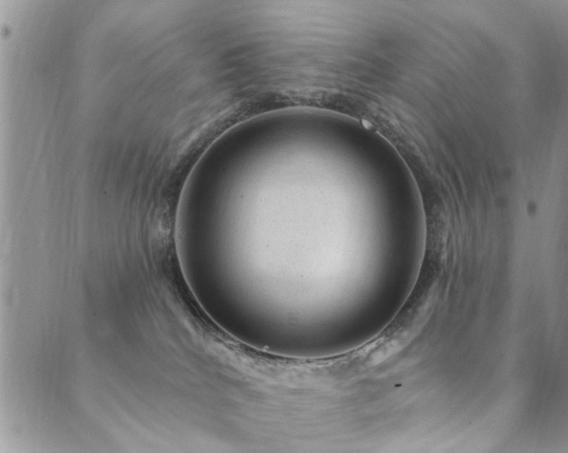 X0000089700040200706211329