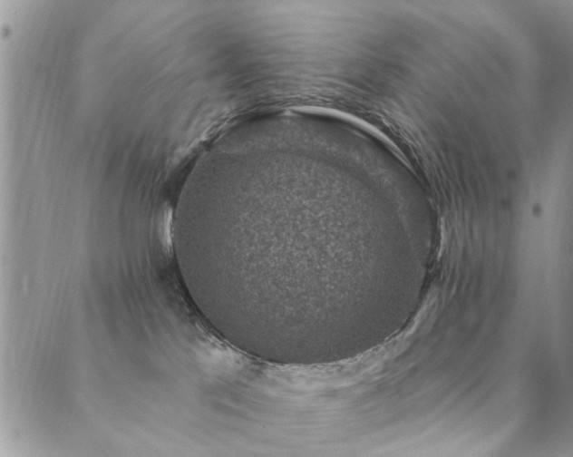 X0000089700041200706211329