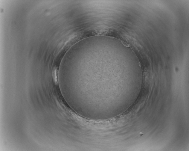 X0000089700042200706211329