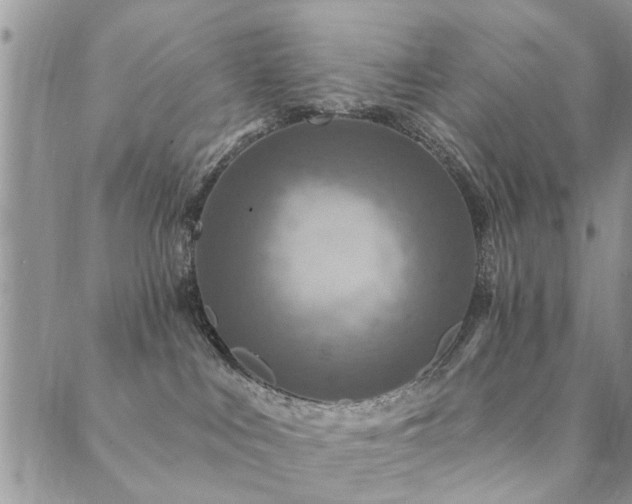 X0000089700043200706211329