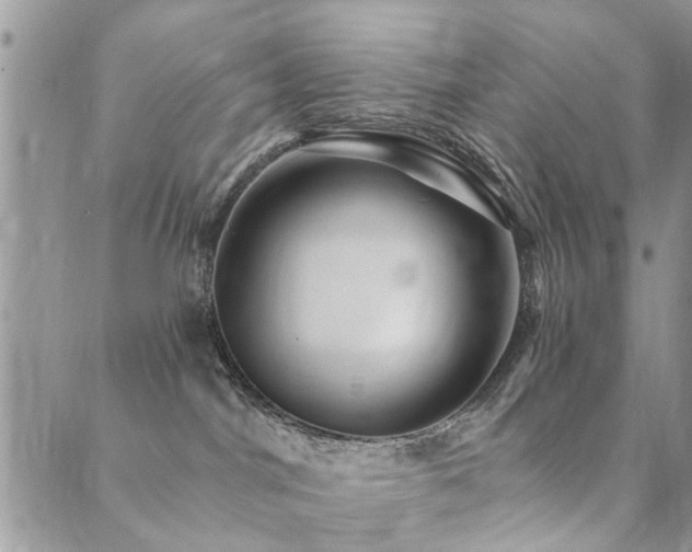 X0000089700044200706211329