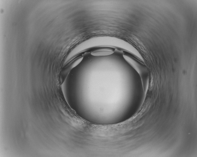 X0000089700045200706211329