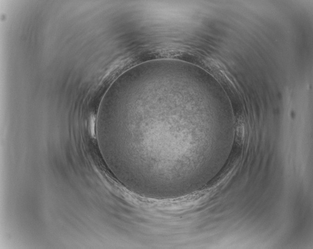 X0000089700046200706211329