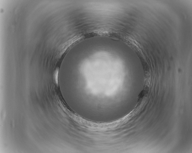 X0000089700047200706211329