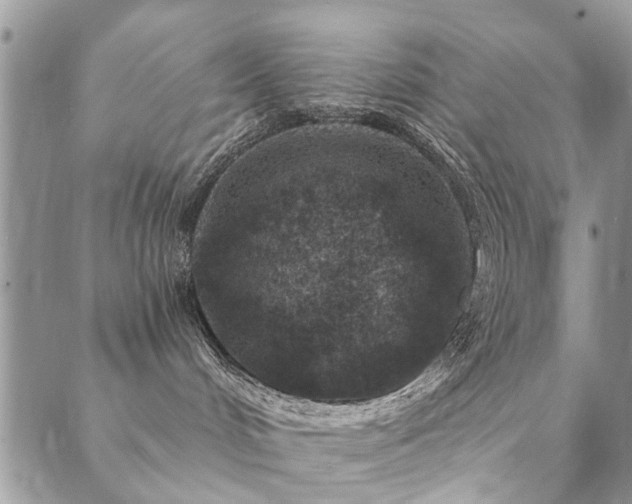 X0000089700048200706211329