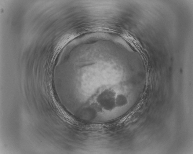 X0000089700049200706211328