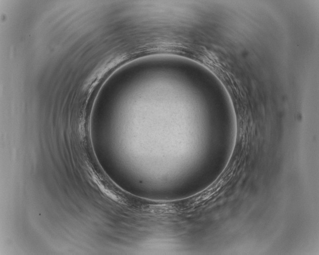 X0000089700050200706211328