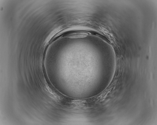 X0000089700051200706211328