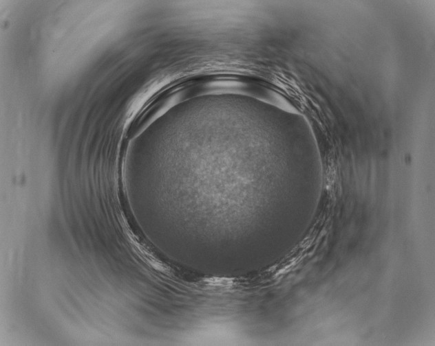 X0000089700052200706211328