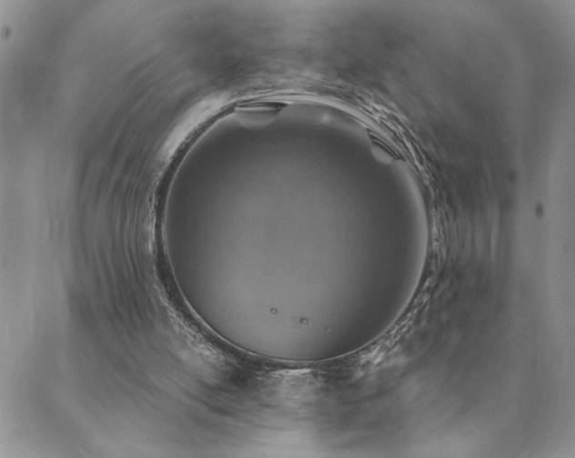 X0000089700054200706211328