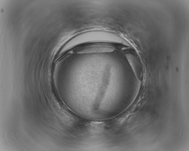 X0000089700055200706211328