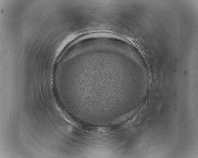 X0000089700056200706211328