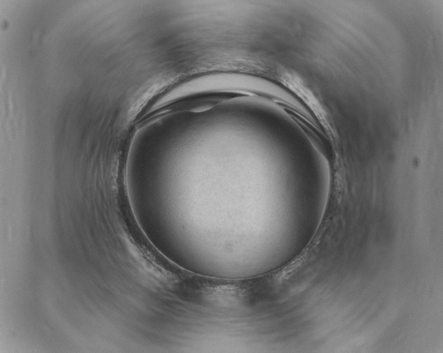 X0000089700058200706211328