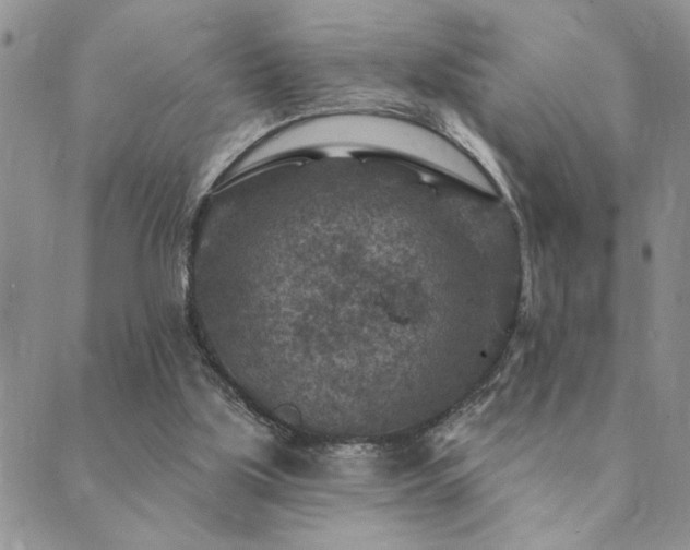 X0000089700059200706211328