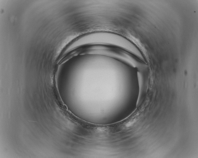 X0000089700060200706211328