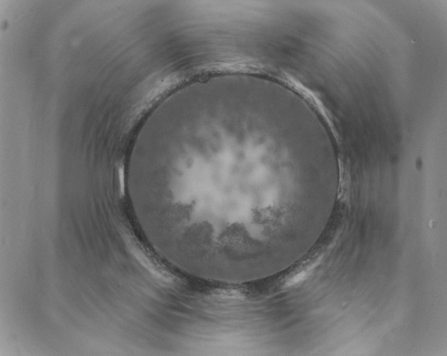 X0000089700061200706211328