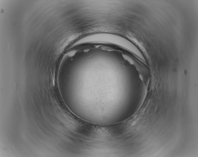 X0000089700062200706211328